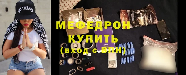 сатива Бородино