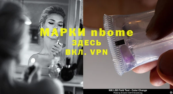 сатива Бородино