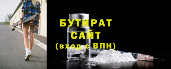 сатива Бородино