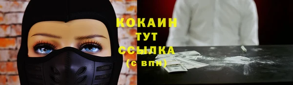 сатива Бородино