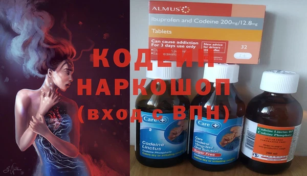 сатива Бородино