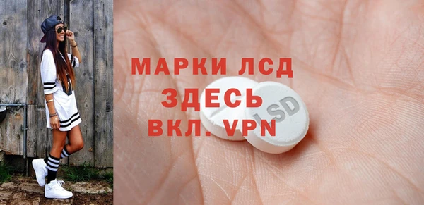 сатива Бородино
