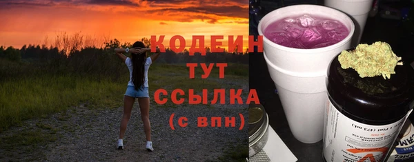 сатива Бородино