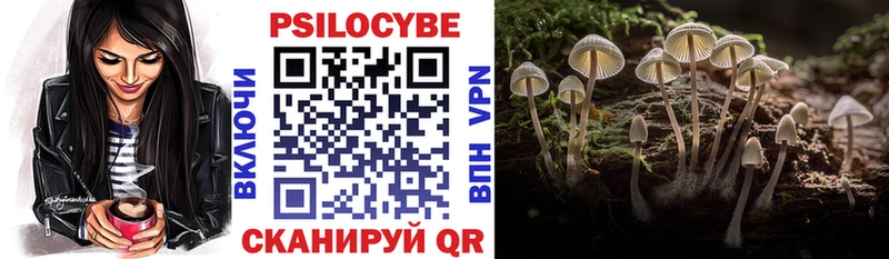 Галлюциногенные грибы прущие грибы  Купить где  Лахденпохья 