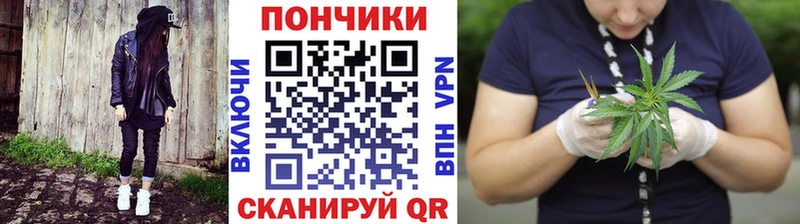 Бошки Шишки гибрид  Купить  Лахденпохья 